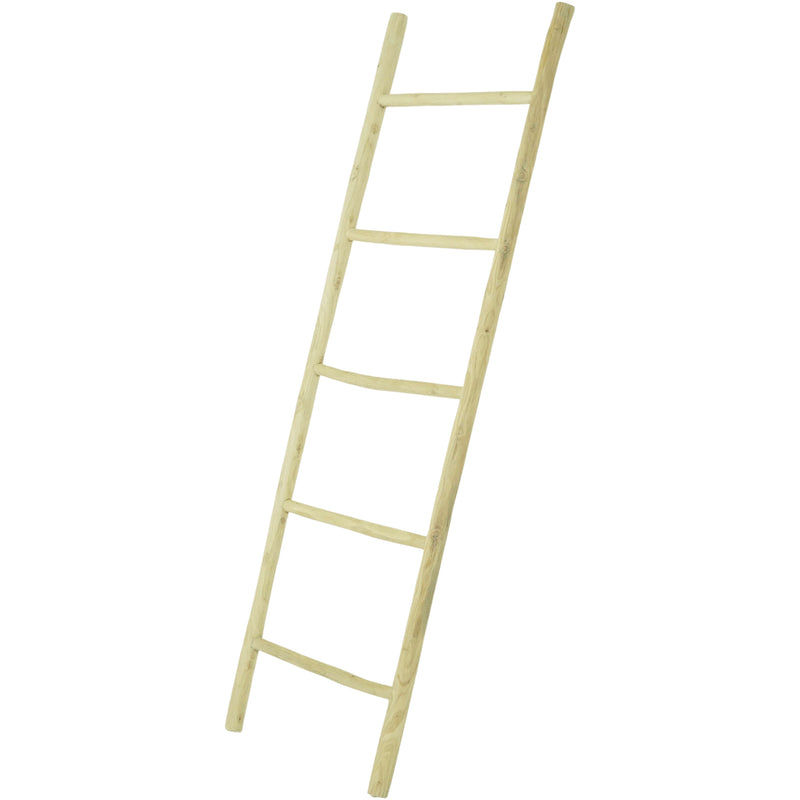 Teak Branch Ladder  | 185CM X 57CM