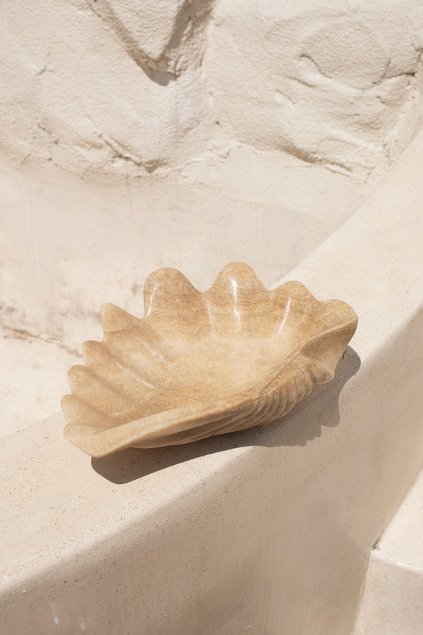 Onyx Clam Shell #2 | PRE-ORDER SEPTEMBER ARRIVAL