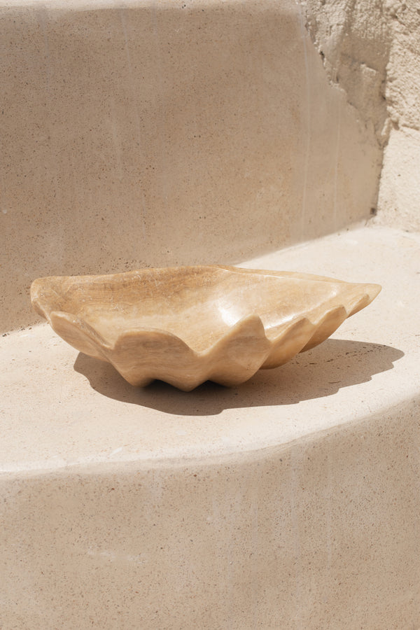 Onyx Clam Shell #2 | PRE-ORDER SEPTEMBER ARRIVAL