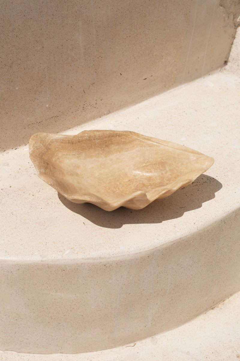 Onyx Clam Shell #2 | PRE-ORDER SEPTEMBER ARRIVAL