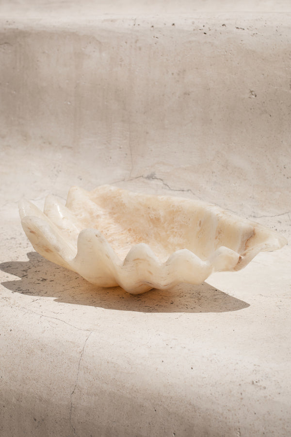 Onyx Clam Shell #1 | PRE-ORDER SEPTEMBER ARRIVAL