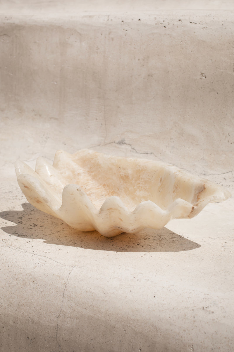 Onyx Clam Shell #1 | PRE-ORDER SEPTEMBER ARRIVAL