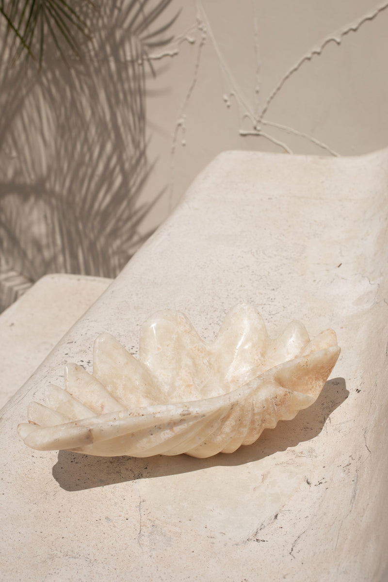 Onyx Clam Shell #1 | PRE-ORDER SEPTEMBER ARRIVAL