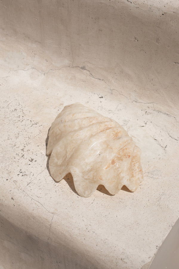 Onyx Clam Shell #1 | PRE-ORDER SEPTEMBER ARRIVAL