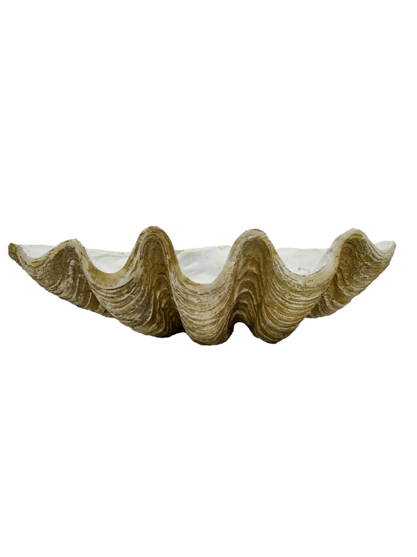 CLAM SHELL DECOR - WHITE/BROWN | 79CM