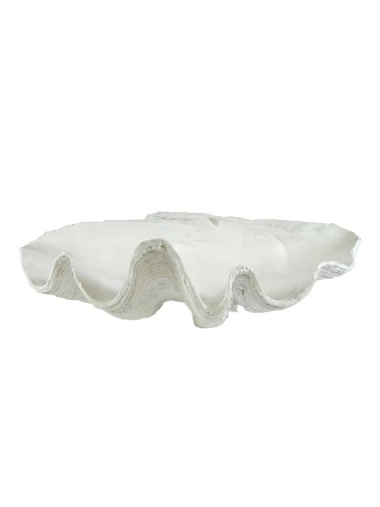 CLAM SHELL DECOR/WHITE | 68CM x 40CM x 16CM