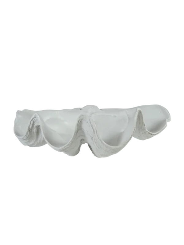 CLAM SHELL DECOR/WHITE | 52CM x 28CM x 18.5CM