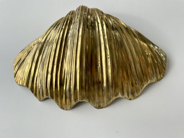 Brass Clam Shell | Oversized