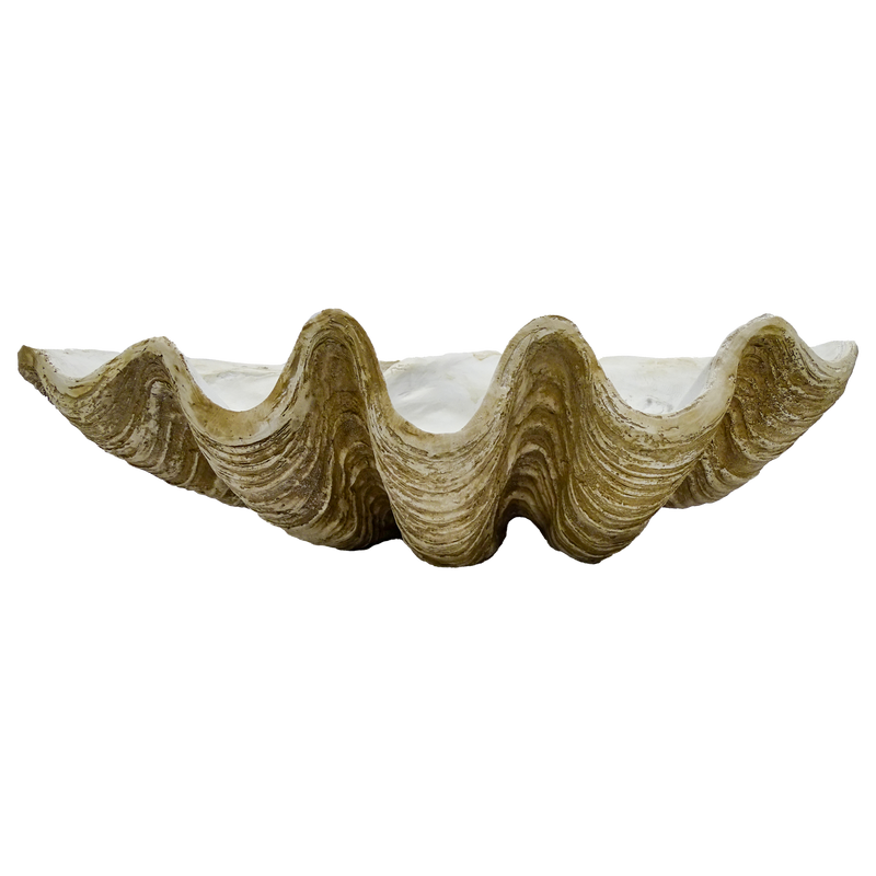 CLAM SHELL DECOR - WHITE/BROWN | 79CM