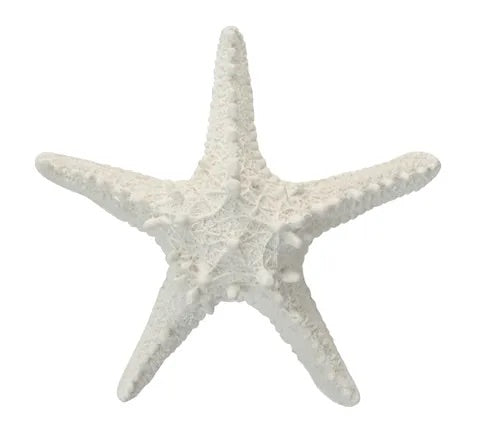 White Poly Starfish | 15CM X 4CM