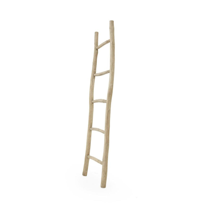 Teak Branch Ladder  | 185CM X 57CM