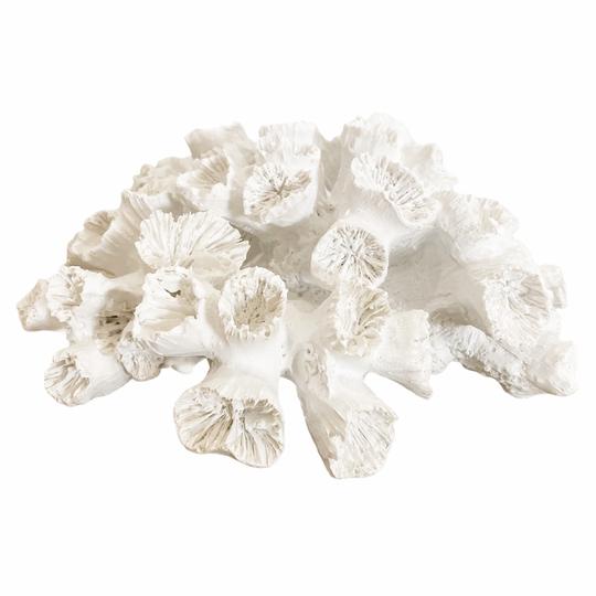 Poly White Anenome Coral | 20CM x 9CM