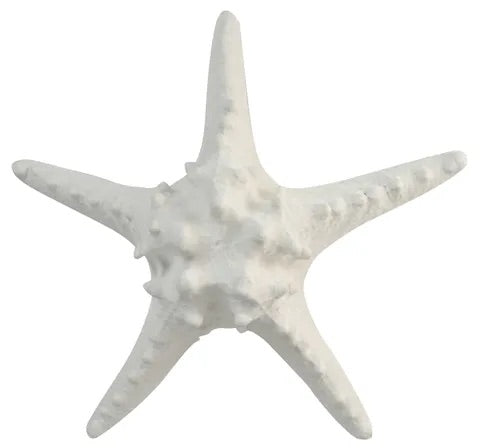White Poly Starfish - Extra Large | 25CM X 9CM