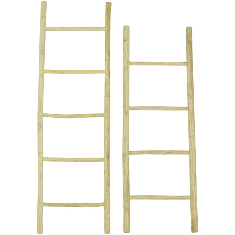 Teak Branch Ladder  | 165CM X 57CM